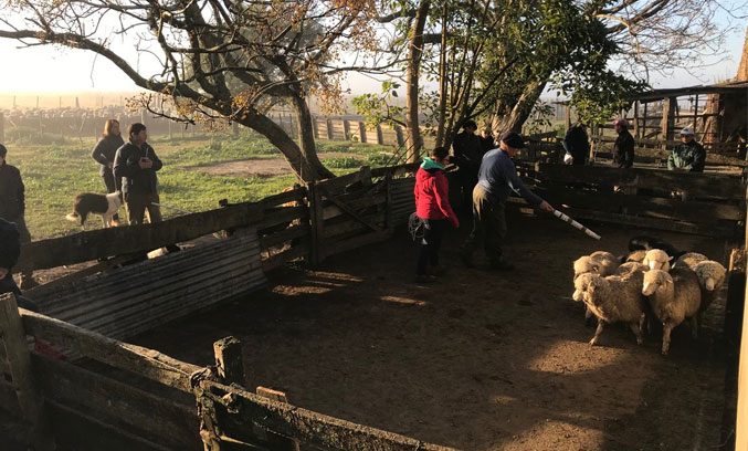 Foto (Twitter): @jrivero1188